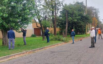 CON UNA ACTIVIDAD PRÁCTICA SE COMPLETÓ LA CAPACITACIÓN PARA PERSONAS QUE DESARROLLAN TAREAS DE PODA Y FORESTACIÓN EN EL DISTRITO