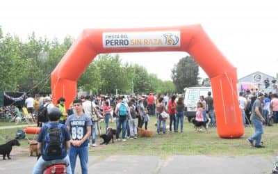 ZOONOSIS VACUNÓ EN UNA SOLA TARDE A 180 PERROS CONTRA LA RABIA