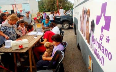 Se aplicará la vacuna antirrábica este domingo en el predio del Ferrocarril