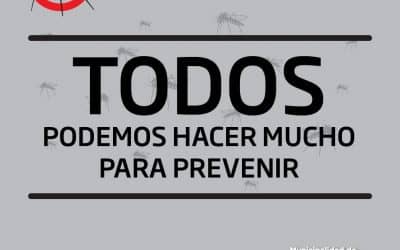 COMENZARON A TOMARSE MEDIDAS DE PREVENCION POR EL DENGUE