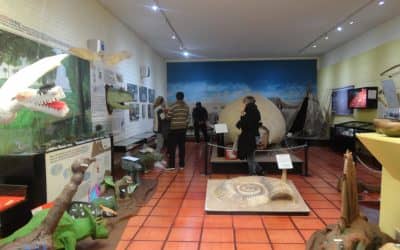 Convocan a los vecinos a participar de la muestra «Guardianes del Patrimonio»