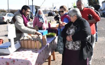 LA FERIA ECOFINES VERDE VUELVE MAÑANA AL PLAYÓN DE LA ESTACIÓN PARA OFRECER SUS PRODUCTOS ORGÁNICOS