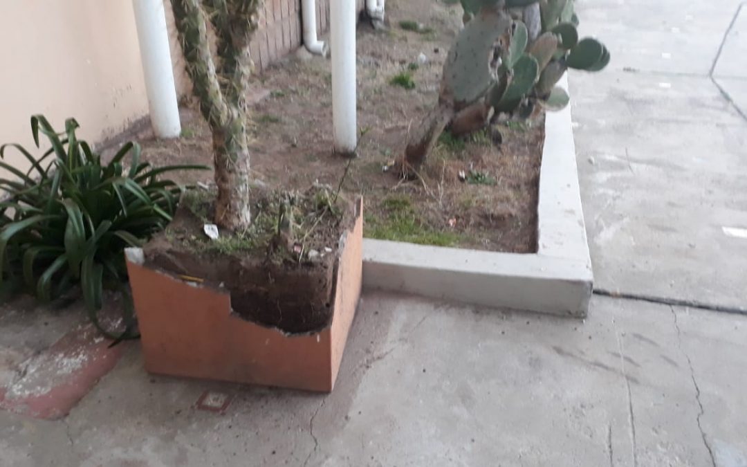 EL MUNICIPIO RADICÓ HOY (MARTES) UNA DENUNCIA POR UN ACTO DE VANDALISMO EN EL MUSEO HISTÓRICO REGIONAL