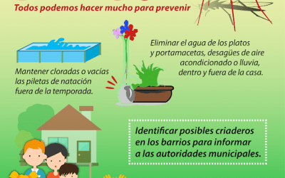 LIMPIAR LOS PATIOS Y NO DEJAR RECIPIENTES QUE JUNTEN AGUA SON DOS DE LAS MEDIDAS DOMICILIARIAS PREVENTIVAS CONTRA EL DENGUE
