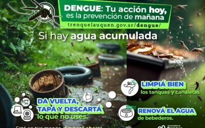 DENGUE: CONTINÚA LA CAMPAÑA Y SE PIDE A LA POBLACIÓN REFORZAR LAS MEDIDAS DE PREVENCIÓN