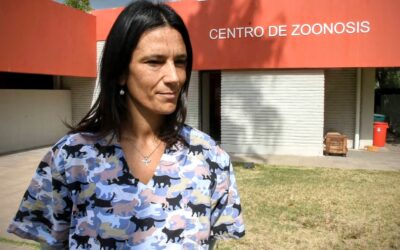 ZOONOSIS Y LAS MEDIDAS A TENER EN CUENTA PARA PREVENIR EL DENGUE: MANTENER LOS PATIOS LIMPIOS Y NO DEJAR RECIPIENTES CON AGUA
