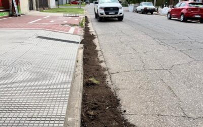 DERRAME DE FITOSANITARIOS: INTERVINO LA DIRECCIÓN DE AMBIENTE DEL MUNICIPIO QUE APLICÓ LOS PROTOCOLOS DE SEGURIDAD CORRESPONDIENTES