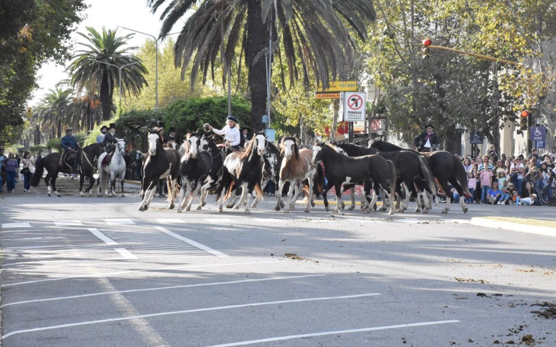 LA COMUNIDAD SIGUIÓ FESTEJANDO EN LA CALLE CON EL TRADICIONAL DESFILE CRIOLLO, MÚSICA Y UN ESPECTÁCULO QUE CONTÓ LA HISTORIA DEL CIRCO ARGENTINO