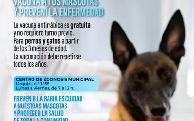 DÍA MUNDIAL CONTRA LA RABIA: ZOONOSIS MUNICIPAL RECUERDA LA IMPORTANCIA DE VACUNAR A LAS MASCOTAS