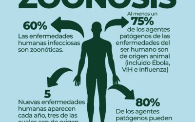 DÍA MUNDIAL DE LAS ZOONOSIS: LA IMPORTANCIA DE LA PREVENCIÓN