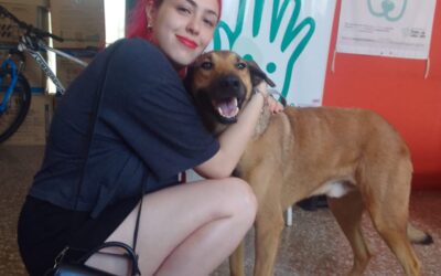 HOY SE CELEBRA EL DÍA DEL ANIMAL Y DESDE ZOONOSIS RECUERDAN LA IMPORTANCIA DE LA TENENCIA RESPONSABLE Y EL CUIDADO DE LAS MASCOTAS