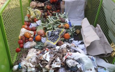 ASÍ, ESTÁ MAL: LOS RESIDUOS DEBEN SACARSE EN BOLSA Y NO ARROJARSE SUELTOS EN LOS CESTOS