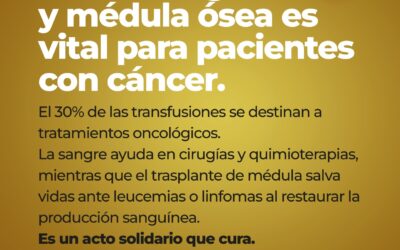 EN EL MES INTERNACIONAL DEL CÁNCER INFANTIL, REMARCAN LA IMPORTANCIA DE DONAR SANGRE Y MÉDULA ÓSEA