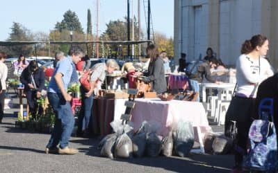ESTE DOMINGO (7) SE REALIZARÁ LA FERIA DE INVIERNO EN LA ESTACIÓN: ARTESANOS, TALLERES Y ACTIVIDADES PARA CHICOS