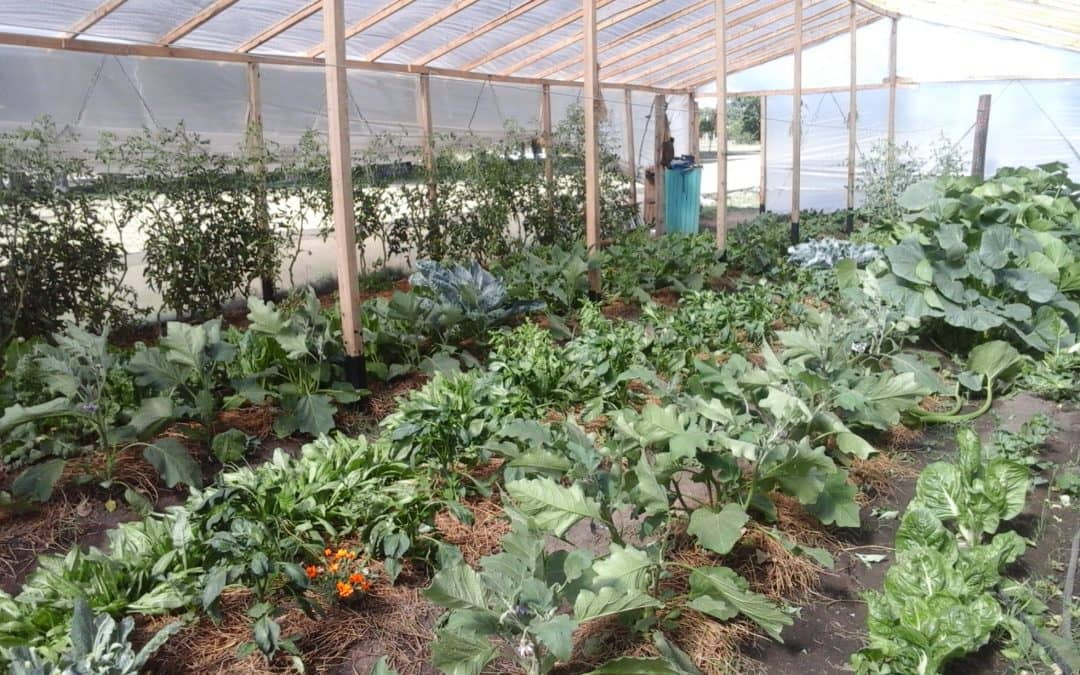 Se realizará mañana la Feria de Emprendedores Berutenses