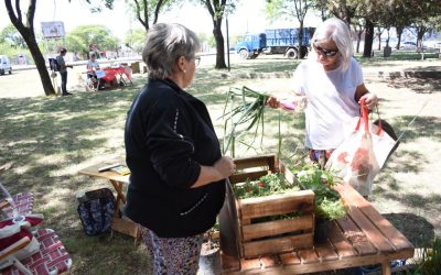 LA FERIA ECOFINES VOLVERÁ A INSTALARSE ESTE SÁBADO EN LA PLAZOLETA ALMIRANTE BROWN, CON SU AMPLIA PROPUESTA DE PRODUCTOS