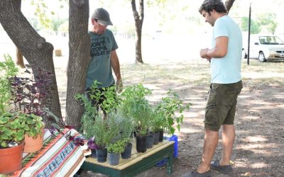 LA FERIA ECOFINES SE TRASLADA EL PRÓXIMO SÁBADO (8) AL PLAYÓN DE LA ESTACIÓN Y CON NUEVO HORARIO: DE 10 A 13