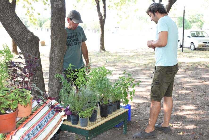 LA FERIA ECOFINES SE TRASLADA EL PRÓXIMO SÁBADO (8) AL PLAYÓN DE LA ESTACIÓN Y CON NUEVO HORARIO: DE 10 A 13