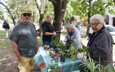 EL PRÓXIMO SÁBADO (30) HABRÁ FERIA ECOFINES TRADICIONAL EN LA PLAZOLETA ALMIRANTE BROWN DE 9 A 13