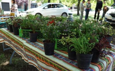 HABRÁ FERIA ECOFINES MAÑANA (SÁBADO) EN LA PLAZOLETA ALMIRANTE BROWN