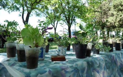 NUEVA EDICIÓN DE LA FERIA ECOFINES CON PRODUCTOS AGROECOLÓGICOS Y ARTESANALES