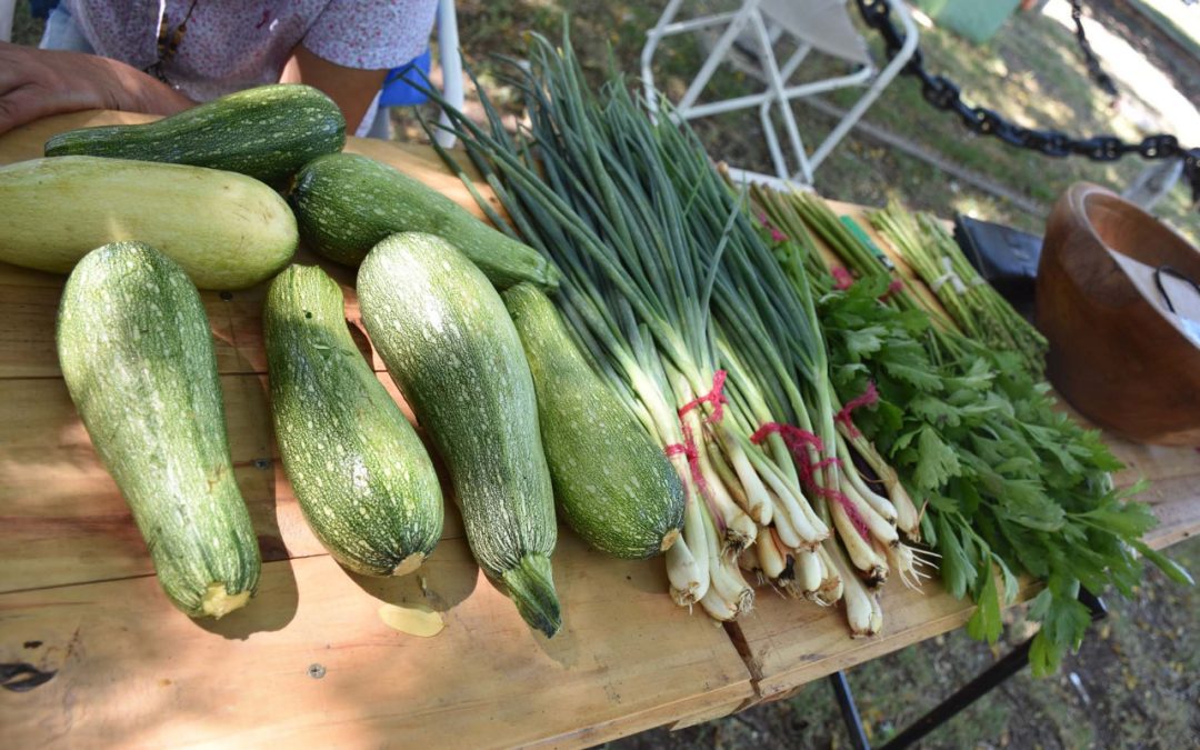 MAÑANA (SÁBADO) HABRÁ FERIA ECOFINES EN LA PLAZOLETA ALMIRANTE BROWN