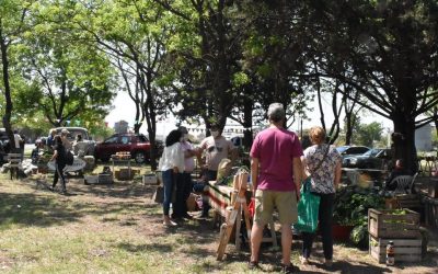 LA PLAZOLETA BROWN RECIBE MAÑANA A LA FERIA ECOFINES VERDE