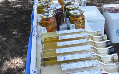 MAÑANA (SÁBADO) HABRÁ FERIA ECOFINES EN LA PLAZOLETA ALMIRANTE BROWN