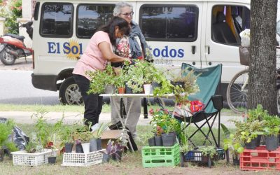 LA FERIA ECOFINES VUELVE MAÑANA (SÁBADO) A LA PLAZOLETA ALMIRANTE BROWN CON UNA VARIADA PROPUESTA