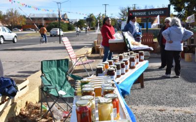 MAÑANA (SÁBADO) HABRÁ FERIA ECOFINES Y PUESTO DE ECOCANJE EN EL PLAYÓN DE LA ESTACIÓN