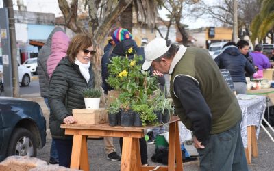 MAÑANA (SÁBADO) HABRÁ FERIA ECOFINES Y PUESTO DE ECOCANJE EN EL PLAYÓN DE LA ESTACIÓN