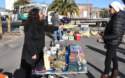 LA FERIA ECOFINES ESTARÁ PRESENTE ESTE FIN DE SEMANA EN LA FERIA DE INVIERNO QUE TENDRÁ LUGAR EN LA PLAZA SAN MARTÍN