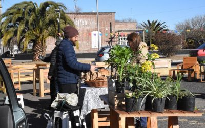 MAÑANA (SÁBADO) HABRÁ FERIA ECOFINES EN EL PLAYÓN DE LA ESTACIÓN