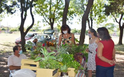 COMO TODOS LOS SÁBADOS, MAÑANA HABRÁ FERIA ECOFINES EN LA PLAZOLETA ALMIRANTE BROWN