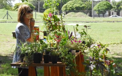 ESTE SÁBADO HABRÁ FERIA ECOFINES EN LA PLAZOLETA ALMIRANTE BROWN