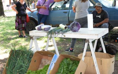 EN LA PREVIA DEL PARTIDO DE LA SELECCIÓN EN EL MUNDIAL, LA FERIA ECOFINES «JUEGA»  MAÑANA (SÁBADO) EN LA PLAZOLETA ALMIRANTE BROWN