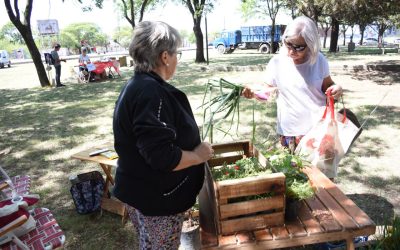 MAÑANA (SÁBADO) HABRÁ FERIA ECOFINES EN LA PLAZOLETA ALMIRANTE BROWN
