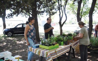 EN LA PREVIA DE LA FIESTA DE FIN DE AÑO, LA FERIA ECOFINES VOLVERÁ A INSTALARSE MAÑANA (SÁBADO) EN LA PLAZOLETA ALMIRANTE BROWN