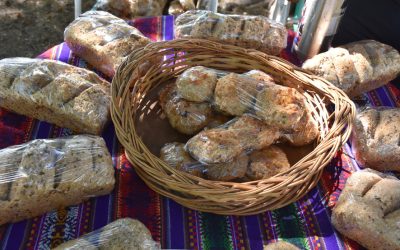 FERIA ECOFINES Y PUESTO DE ECOCANJE, MAÑANA (SÁBADO) EN LA PLAZOLETA ALMIRANTE BROWN
