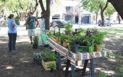 LA FERIA ECOFINES, EL CLÁSICO DE LOS SÁBADOS, VOLVERÁ A ESTAR MAÑANA EN LA PLAZOLETA ALMIRANTE BROWN