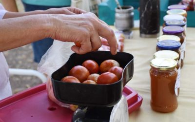 LA FERIA ECOFINES ESTARÁ MAÑANA (SÁBADO) EN LA PLAZOLETA ALMIRANTE BROWN