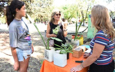 LA FERIA ECOFINES Y EL PUESTO DE ECOCANJE, MAÑANA (SÁBADO) SE DESPIDEN DE LA PLAZOLETA ALMIRANTE BROWN