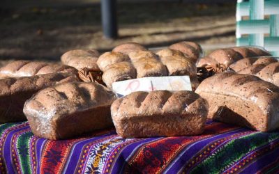 MAÑANA (SÁBADO) HABRÁ FERIA ECOFINES EN EL PLAYÓN DE LA ESTACIÓN