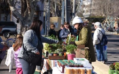 MAÑANA (SÁBADO) HABRÁ FERIA ECOFINES TRADICIONAL EN EL PLAYÓN DE LA ESTACIÓN