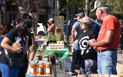 MAÑANA (SÁBADO) LA FERIA ECOFINES, EN SU FORMATO TRADICIONAL, VUELVE A INSTALARSE EN EL PLAYÓN DE LA ESTACIÓN