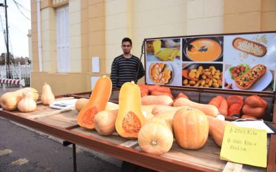 MAÑANA (SÁBADO) HABRÁ FERIA ECOFINES Y PUESTO DE ECOCANJE EN EL PLAYÓN DE LA ESTACIÓN