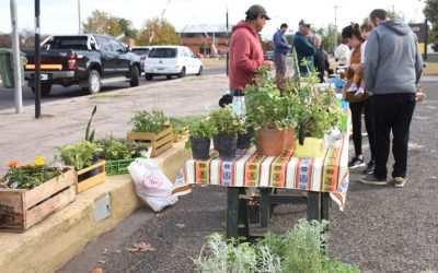 HABRÁ FERIA ECOFINES EL PRÓXIMO SÁBADO (27) EN EL PLAYÓN DE LA ESTACIÓN