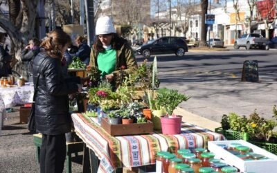 MAÑANA (SÁBADO) HABRÁ FERIA ECOFINES TRADICIONAL EN EL PLAYÓN DE LA ESTACIÓN