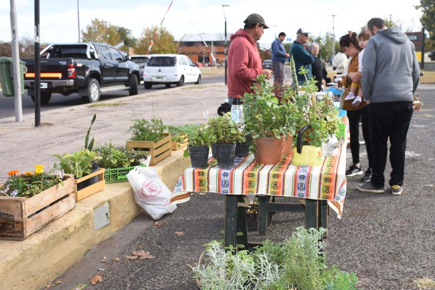 HABRÁ FERIA ECOFINES EL PRÓXIMO SÁBADO (27) EN EL PLAYÓN DE LA ESTACIÓN