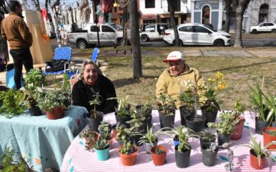LA FERIA ECOFINES TRADICIONAL ESTARÁ MAÑANA (SÁBADO) EN EL PLAYÓN DE LA ESTACIÓN
